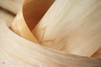 VENEER